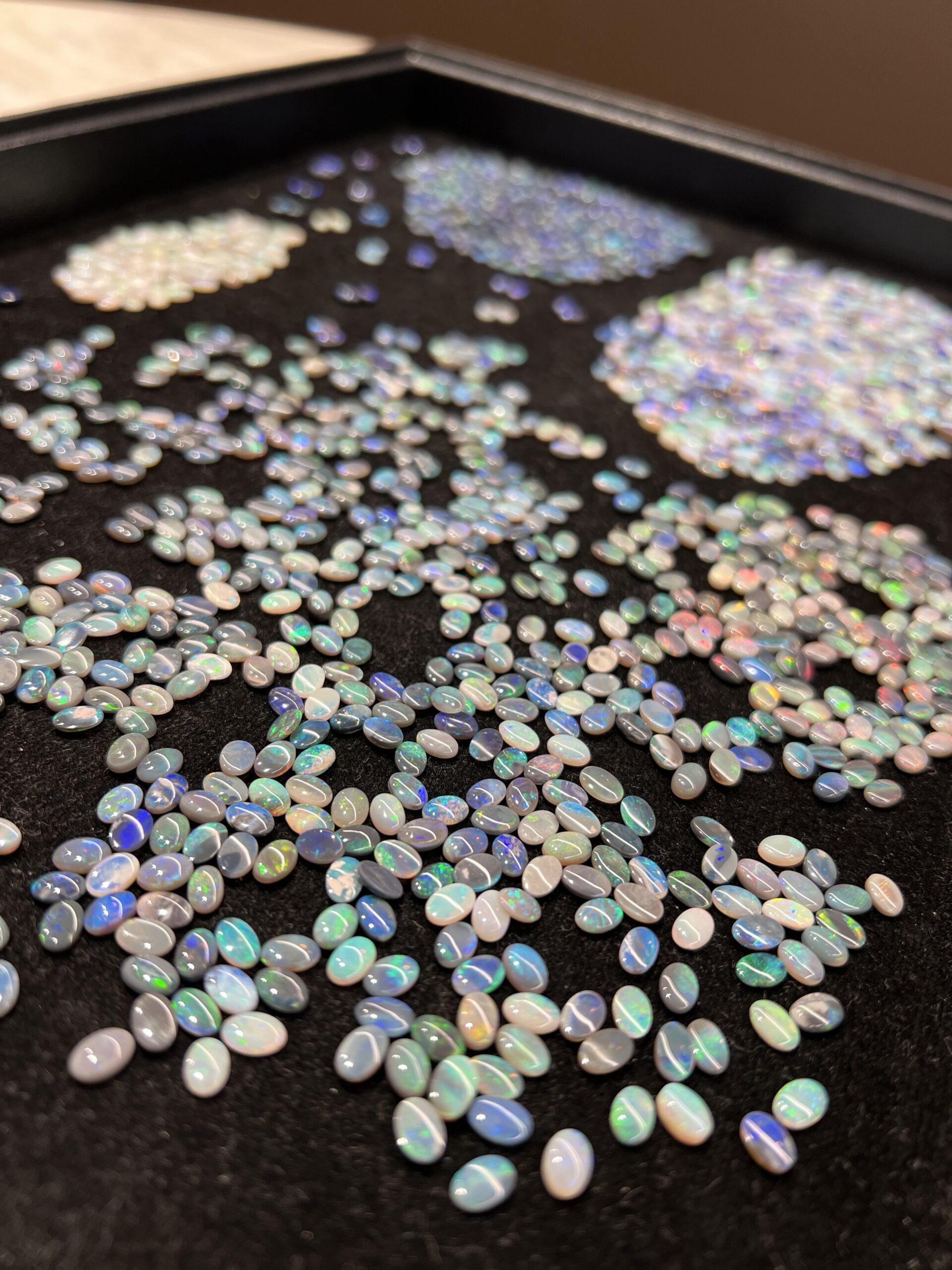 Students participating in hands-on outdoor learning on Country