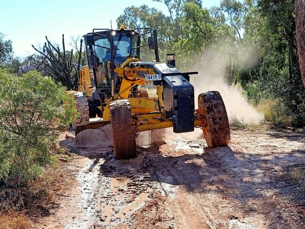 Outback vegetation on the Reserve — Hudson Pear biocontrol program underway