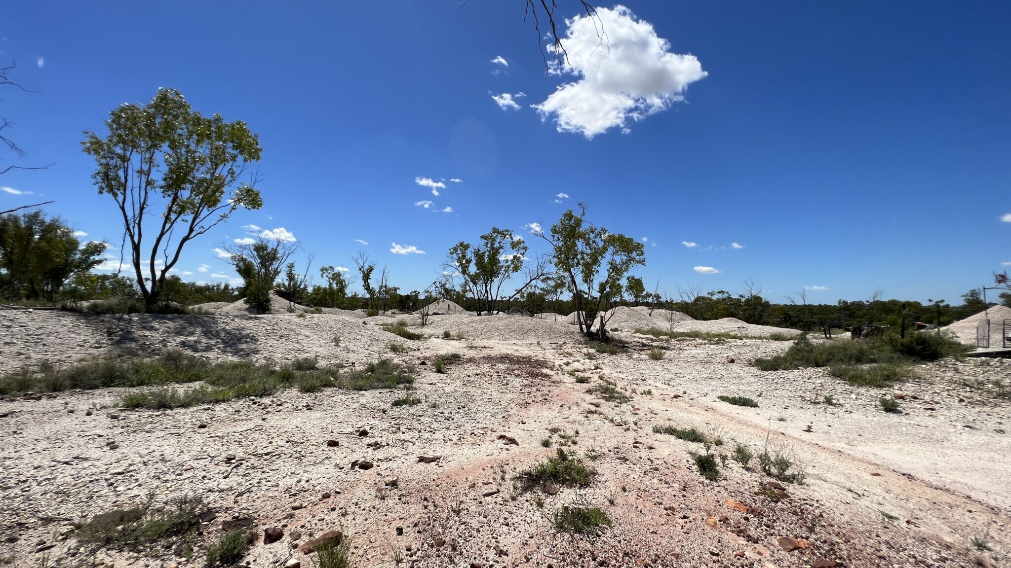 The Wandella farmhouse precinct — a base for researchers and school groups